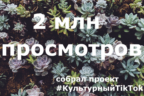 2 млн просмотров собрал проект #КультурныйTikTok